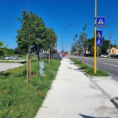 Sofia Venice